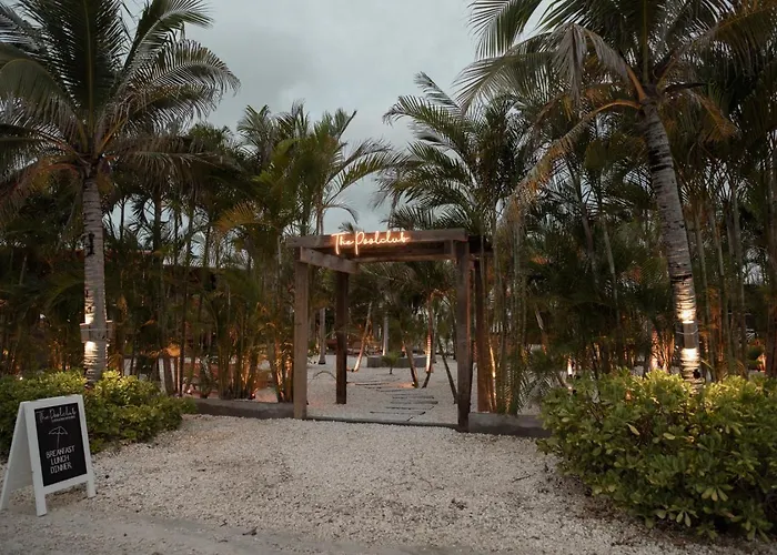 Cats Cradle And Mistico Club Boat Shuttle Villa San Pedro (Ambergris Caye)